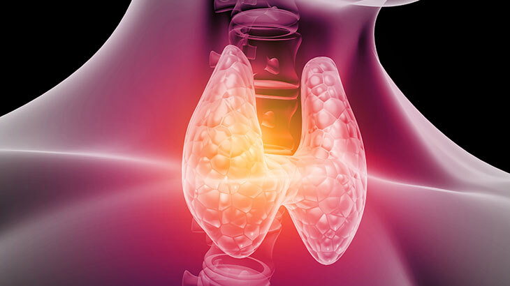 Slimpack Soup Tiroit Hastaları Kullanabilir Mi?